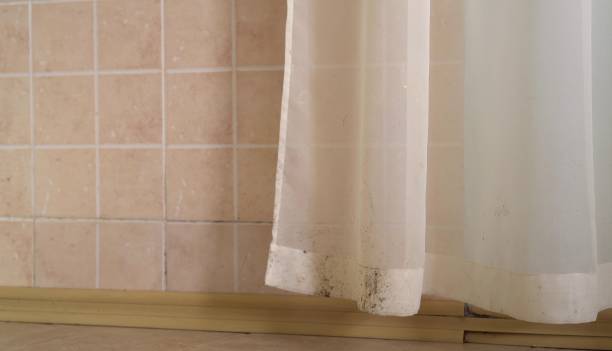 Best Indoor Air Quality Assessment  in Summerlin South, NV