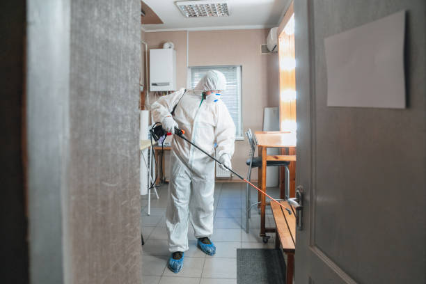 Best Air Quality Testing for Mold Spores  in Summerlin South, NV
