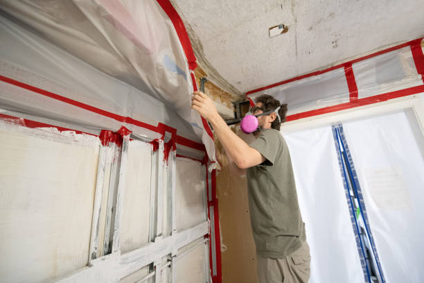 Best Mold Documentation for Insurance Claims  in Summerlin South, NV