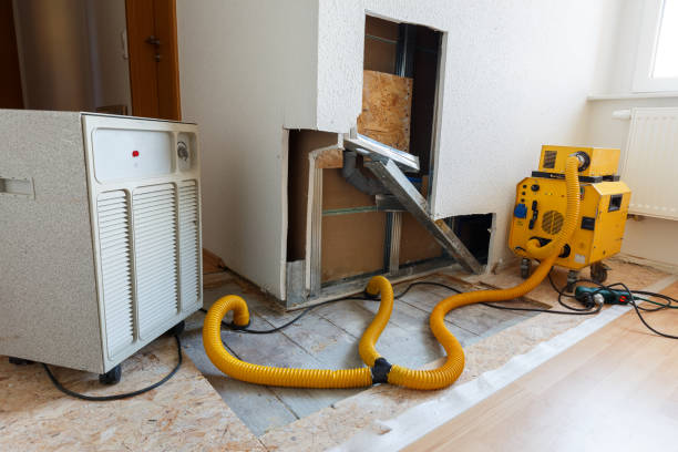 Best Industrial Mold Remediation  in Summerlin South, NV